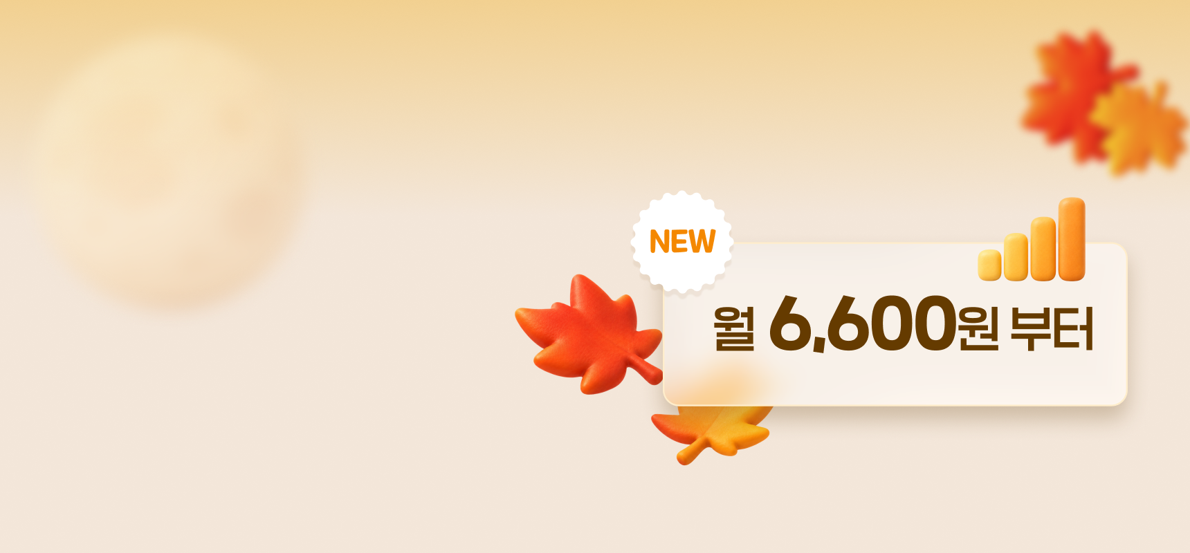 배너 이미지